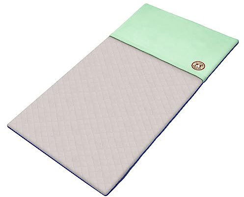 GuineaDad Liner - C & C 2x3 Größe, Sea Green | Meerschweinchen Fleece Käfig Liner | Meerschweinchen Bettwäsche | Graben Taschenhülle | Extra saugfähiger Bambus | Wasserdichter Boden