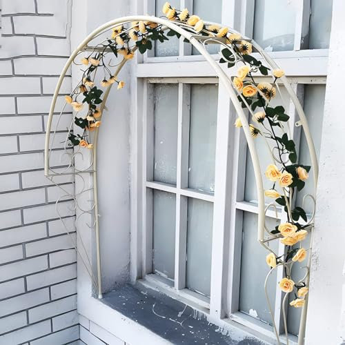 Arche de jardin demi-ronde en fer forgé pour plantes grimpantes, tonnelle décorative pour patio, fenêtre, jardin, porche