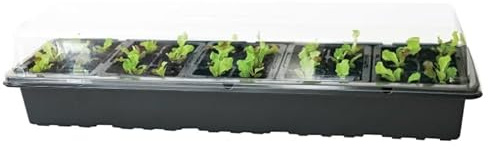 rightclick 5-Tray Windowsill Greenhouse Seed Starter Kit Set with 30 Cells/Water Tray | Indoor & Outdoor Windowsill Planter Box | Plastic Seedling Starter Growing Tray for Greenhouse & Gardens.