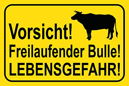 DekoDrom® Blechschild 20x30 cm Vorsicht Freilaufender Bulle Lebens Gefahr Tierliebe Spruch Hinweisschild Tafel Wand Deko Bar Kneipe Cafe Sammler Geschenk