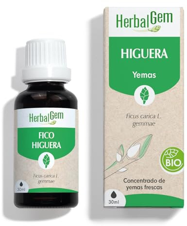 HERBALGEM Higuera BIO Macerado Madre 30 ml – Digestión y Estrés Vegano | Gemoterapia concentrada de yema fresca, vegana. Apoya la digestión y ayuda frente al estrés.