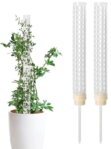 Paletto di muschio per piante Monstera – Pali di muschio traspiranti per interni, bastone di supporto per piante, attrezzi da giardinaggio portatili per vegetazione