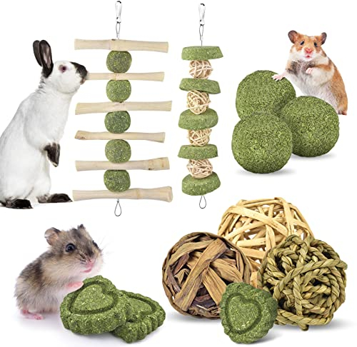 ERKOON Kaninchen Kauspielzeug, 11 Stück Hamster Spielzeug Natürlich Apfelholz Kauen ​Grasball Timothy Heu Sticks Gras Kuchen für Häschen Chinchilla Hamster Meerschweinchen Rennmäuse Zahnpflege