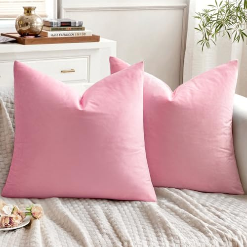 EMEMA Kissenbezug 40x40 Samt Dekokissen Sakura Rosa Sofakissen 2er Set | Kissenhülle Dekorative Pillow Case Home Decoration Lendenkissen Wurfkissenbezug Sofa Wohnzimmer Schlafzimmer