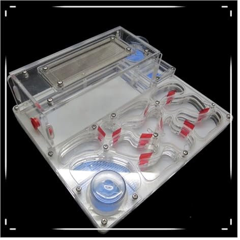 FENGJISUN Ameisenfarm Ameisen Farm Acryl Ameisenburg DIY Twin Wassertürme Ameisennest Farm Öko-Werkstatt Wissenschaft Ameisenfarm Erwachsener(White)