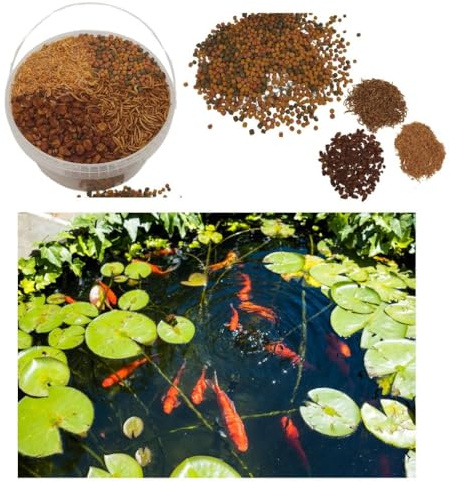 Teichfutter im Eimer für Teichfische, für Goldfische, Kois, mit Sticks, Flocke, Goldfischperlen, Koipellets (5 L Eimer, Koifutter mit Naturfutter 6 mm gemischt)