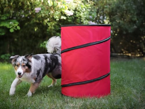 Hoopers Tonne für Hundesport 1 Stück, Hundetraining ohne Sprünge, Agility Barrel, einfacher Pop-Up Aufbau, Aufbewahrungstonne, Gartenabfallsack