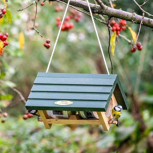 CJ Wildlife Erdnussbutterhaus – Vogelhaus zum Aufhängen – Holz FSC® 100% – Chalet-Stil – Erdnussbutterglashalter für Gartenvögel – Grün/Multi