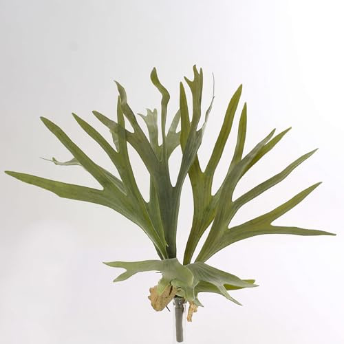 artplants.de Künstlicher Geweihfarn George, 8 Blätter, grün, Ø 50cm, 40cm - Kunst Farn - Kunstpflanze