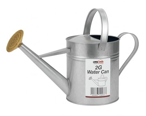BH | 2 Gallon Metal Galvanised Watering Can | 9L Garden Flower Plant Watering Can | Sturdy | Anti-Rust | Indoor and Outdoor Vintage Watering Cans, Removable Spray Spout - By BEST HOUSE