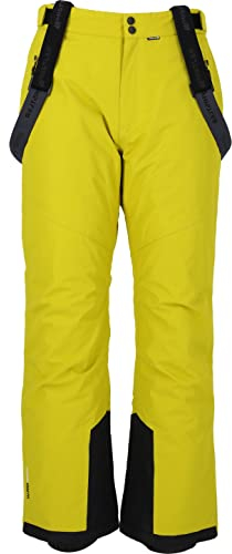 WHISTLER Herren Skihose Herren Fairfax I Männer Snowboardhose wasserdicht mit 10000 mm Wassersäule I Outdoor Ski Pants 3149 Citronelle S