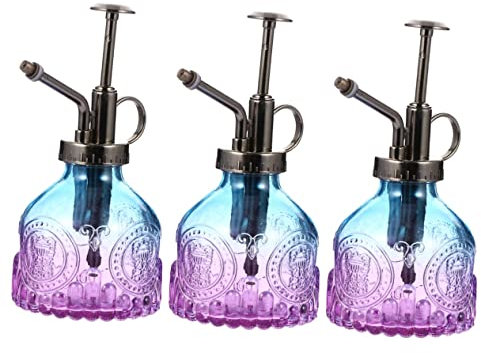 Arrosoir, bouilloire en verre, récipients en verre for terrarium succulent, for liquides, décoration de pelouse extérieure, pulvérisateur rétro en verre for plantes, vaporisateur à gâchette, bouteille