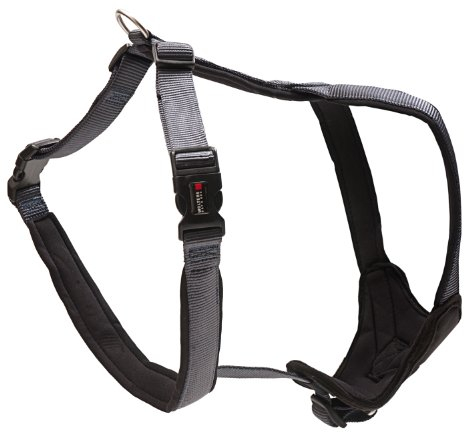 Wolters Cat&Dog Professional Comfort 62152 Geschirr Gr.3 50-60cm x 30mm graphit/schwarz