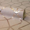 Fine Décor FD42561 Platinum Geo Trellis Blush Tapete, Roségold