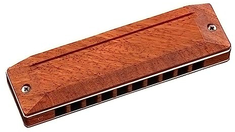 Mundharmonikas Diatonische Mundharmonika, 10 Löcher, Harfe, Palisander, Abdeckplatten, Stimmzungen Aus Phosphorbronze, C, Professionelles Musikinstrument