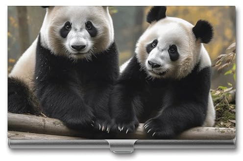 MNBVKL Visitenkartenbox, zwei große Pandas, bedruckte Visitenkartenbox, robuste Visitenkartenbox, Reise-Visitenkartenbox, grau, Einheitsgröße, modern, grau, Einheitsgröße, Zeitgenössisch
