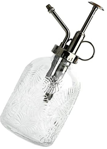 Toyvian Vaporisateur Eau pour Plantes Bouteille Arrosage pour Plantes Pulvérisateur pour Fleurs Et Jardin