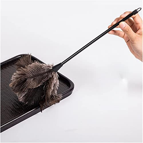 Ensemble plumeau plumeau doux nettoyant longue poignée bureau fausse plume maison dépoussiérage brosse fenêtre meubles maison ménage plumeau plumeau outil de nettoyage poignée plumeaux brosses
