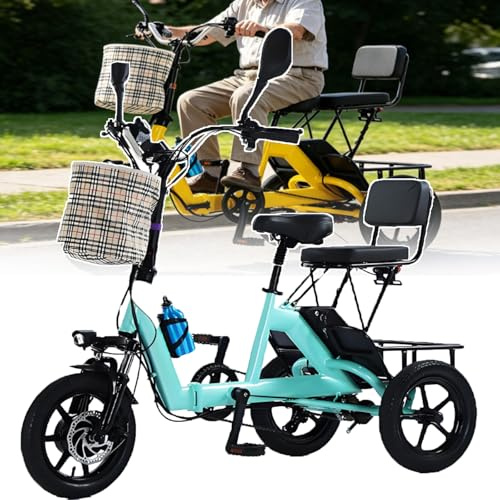 Tricycle Cargo électrique à 3 Roues, Charge Adulte 200 kg, Vitesse 20 km/h, autonomie 40 km, siège arrière, Phare LED, rétroviseur, klaxon, écran LCD, Vert