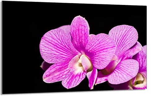 Herdabdeckplatte 80x52 cm 1-teilig Ceranfeldabdeckung Induktion Herdschutz Spritzschutz Glasplatte Deko Schneidebrett, Orchidee Violett