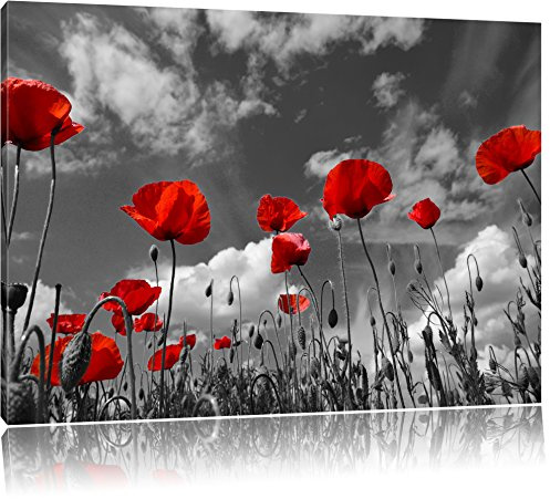 Pixxprint Wiese mit Blumen, Größe: 80x60cm, Leinwandbild, fertig gespannt, Wandbild, Dekoration, Kunstdruck, kein Poster
