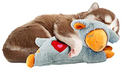 ALL FOR PAWS Kleiner Buddy Herzschlag Schaf, Welpenspielzeug mit Herzschlag Hundetrainingsspielzeug zur Linderung von Trennungsängsten Verhaltenshilf Schaf Grau