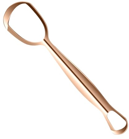 Grattoir à Langue, Brosse Nettoyante pour Langue en Acier Inoxydable, Outil de Soin Dentaire en Forme d'Éventail pour Toute la Famille Nettoyage Quotidien