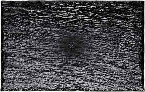 Generic - 10 Assiettes Ardoise PVC 30X15.8CM