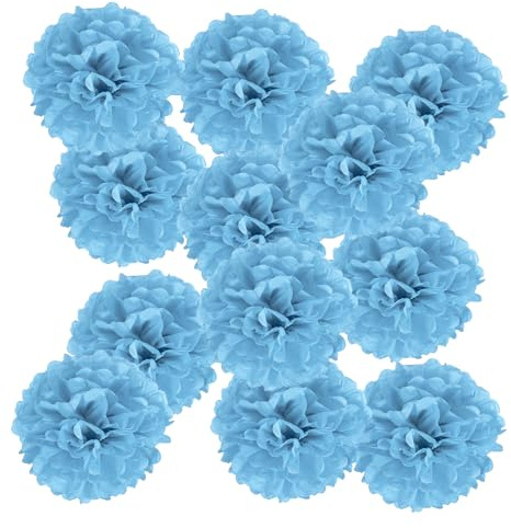 PATIKIL Pom Pom Carta 9,84 x 9,84 per Matrimonio Festa Blu Lago 12Pz | Kit Palle Fiori Carta per Compleanno, Addio Nubilato Matrimonio Festa Nuziale Decorazione Fai da Te Arte e Artigianato Natale