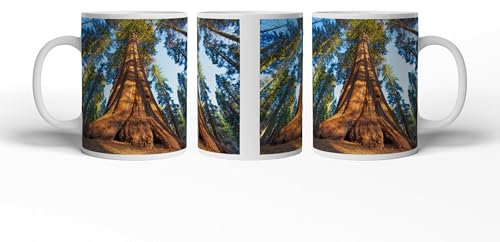 Taza con diseño de gigante del bosque en el juego de luces de la mañana, 300 ml, de cerámica blanca, taza de café o idea de regalo