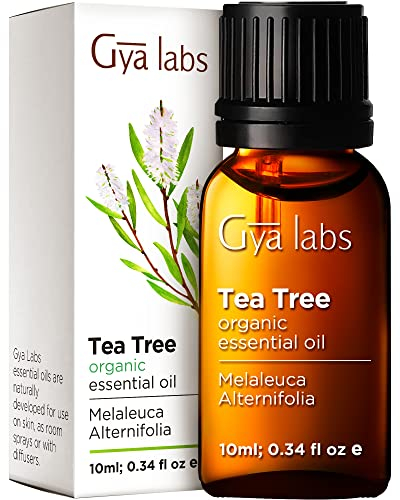 Gya Labs Ätherisches Bio-Teebaumöl für die Haut - 100% Reines Natürliches Australisches Teebaumöle für Haare, Gesicht, Zehennägel, Kopfhaut & Piercings (10ml)
