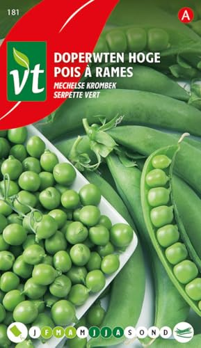 Pois Serpette vert Graines