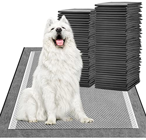 MIZOK Charcoal Puppy Pads Odor Control Leak Proof XXL 76x91cm 40 Pack | Super Absorbent Dog pads with Adhesive Tabs, Dog Potty Pads, Heavy Duty, Quick-Dry Surface, Disposable