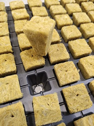 Cultilene Bandeja Lana Roca 25X25X40 150 Alveolos