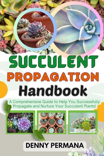 Succulent Propagation Handbook for Beginners: How to Grow New Succulent Plants from Leaves and Cuttings