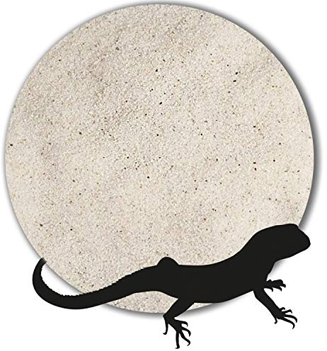 Anbobo 25 kg Terrariensand Terrariumsand Terrarienkies Natur weiß große Auswahl (0,1-0,3 mm)