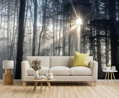 Toolhom Misty Forest Mysterious Sunrise Mural, Forest Wallpaper Decorative Painting for Living Room, Bedroom, Dining Room Decoration（Non-self-Adhesive）