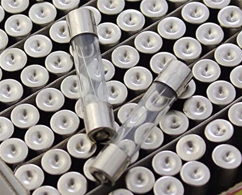 Sicherung 5 * 20 SMD Fast Blow Glassicherung 20 Stück 10A 250V 5x20MM Glasrohrsicherung F10AL250V Ersatzsicherung