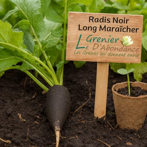 100 graines à semer - Le Grenier d'Abondance - Radis noir long maraîcher bio - Raphanus sativus