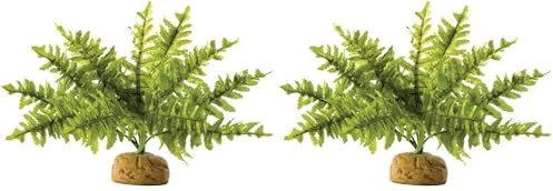 Exo Terra Boston Fern Small (Pack of 2)