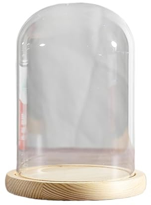Cupola in vetro con campana di vetro, Campana in vetro da 12 cm di diametro con base in legno massello, altezza 20-30(Dia12*H30cm)