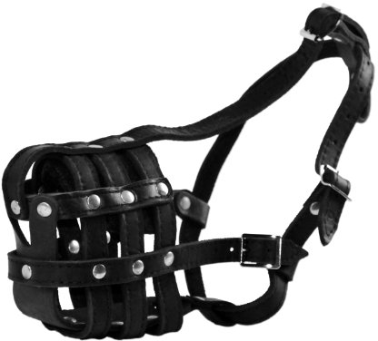 Dean & Tyler Terrier Leder Korb Maulkorb, Größe T