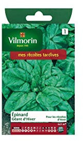 Vilmorin - Sachet graines Epinard geant d'hiver