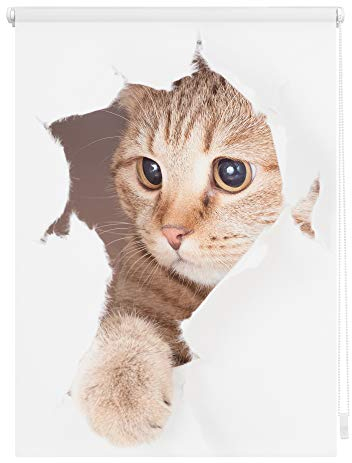 Lichtblick Klemmfix Verdunklungs-Rollo mit Motiv, ohne Bohren, Blickdicht, Seitenzugrollo, Made in Germany, Katze - Weiß Braun 70 x 150 cm (B x L)