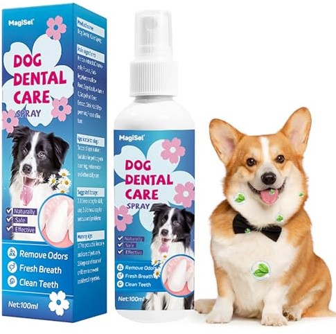 MagiSel Tandspray för hundar & katter, tandstensborttagare hund, 150 ml luftfräsch spray för husdjur, 100 % naturlig och uppfriskande, tandvård utan borstar för frisk andedräkt och friska tänder