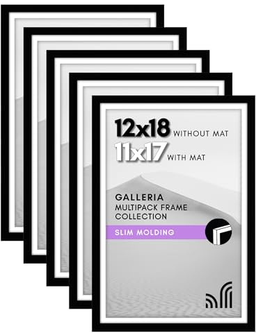 Americanflat 12x18 Poster Frame with Polished Plexiglass - Set of 5 - Use as 11x17 Frame with Mat - Galleria Collection - Picture Frames for Wall Display - Black