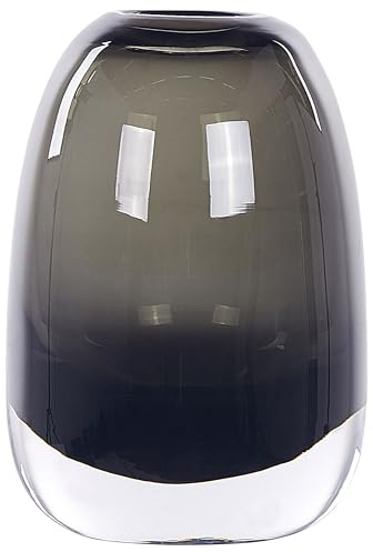 Deko Blumenvase Glas grau/transparent 18 cm bauchig mit schmaler Öffnung Fyska
