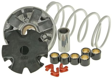 MALOSSI Variateur Multivar pour 139QMB/QMA 4tps | 139QMB/QMA; galets en PTFE 16x13 mm 7,0g, ressort; compatible avec BAOTIAN BT49QT-11 4T AC, compatible avec ZNEN A9 50 4T AC.