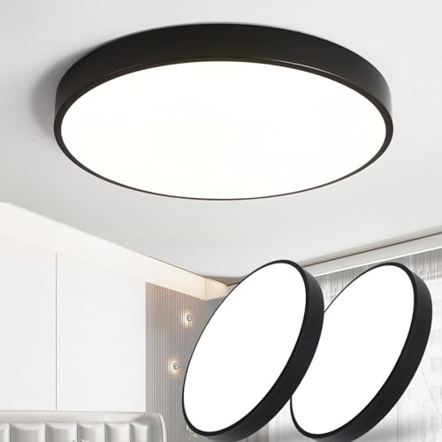 Style home 2pcs 24W LED Deckenleuchte Deckenlampe Warmweiß 3000K, Ø30x4cm | Rund Flach LED Deckenlampe aus Metall, warmliches 3000K Lampe für Wohnzimmer Schlafzimmer Büro Küche Flur(Schwarz)
