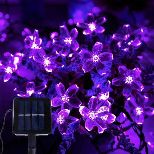 Kaleora Solar Kirschblüten Lichterkette, 5M 20 LED Blumen Lichterkette Außen Wasserdicht, 8 Beleuchtungsmodi, Lila Kirschblüten Solarlichterkette für Garten, Terrasse, Balkon, Bäume, Hochzeit, Party